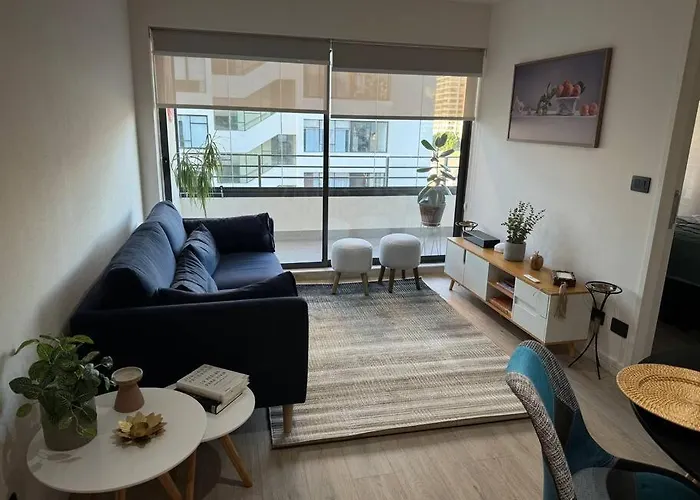 Hermosa Vista Al Palacio Rioja En Vina Del Mar